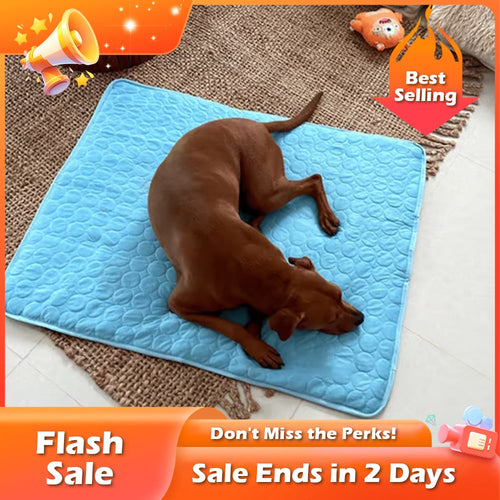 🐶🐱🐾 Cooling Pet Pad Multi‑Size – Breathable, Washable, Non‑Slip – Dog Bed, Sofa Cover, Car Seat Mat – Supports up to 80kg – 3 Colours Available