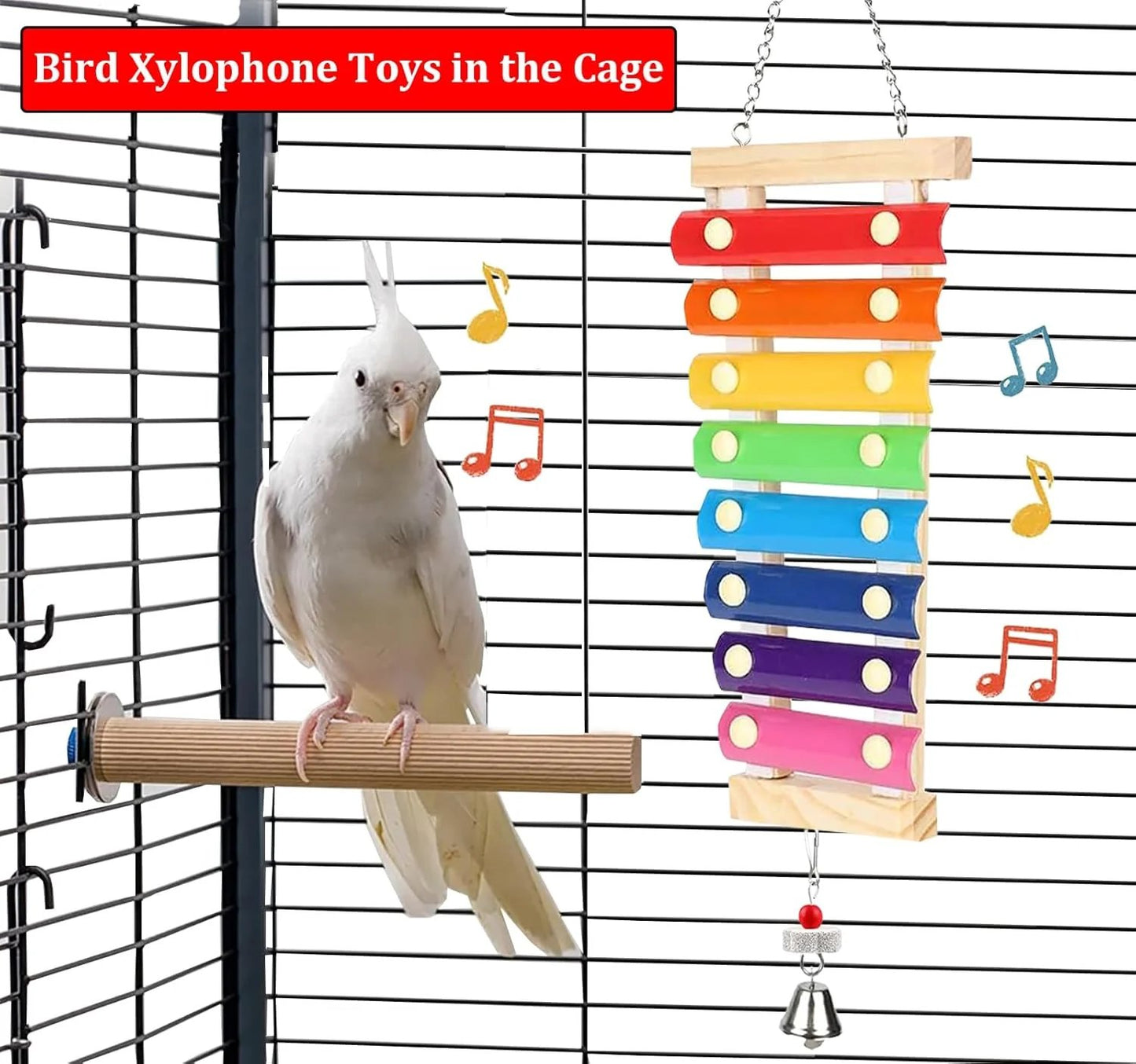 Natural Wood Xylophone & Chew Toy for Parrots 🦜🎶