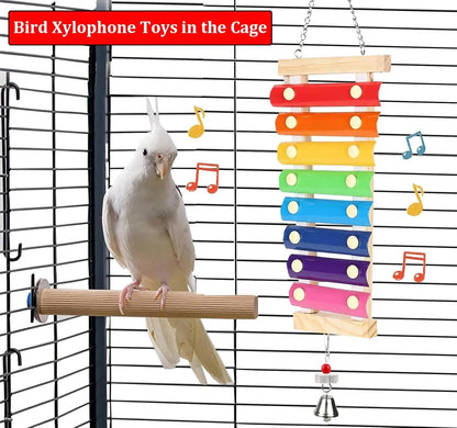 Natural Wood Xylophone & Chew Toy for Parrots 🦜🎶
