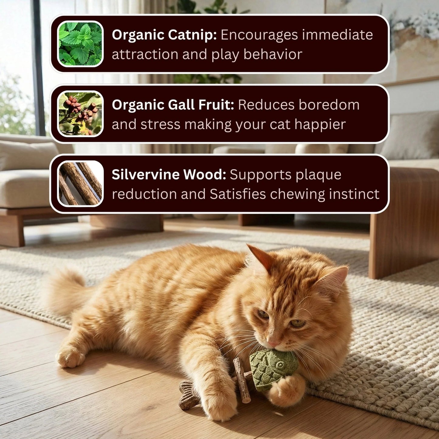 🐾-Catnip & Silvervine Chew