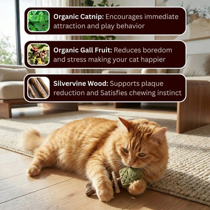 🐾-Catnip & Silvervine Chew