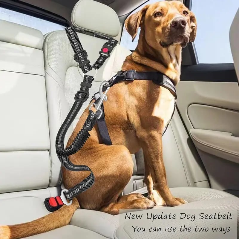🐱🐶Pet Seatbelts – Car Headrest Restraint, Adjustable Safety Leads