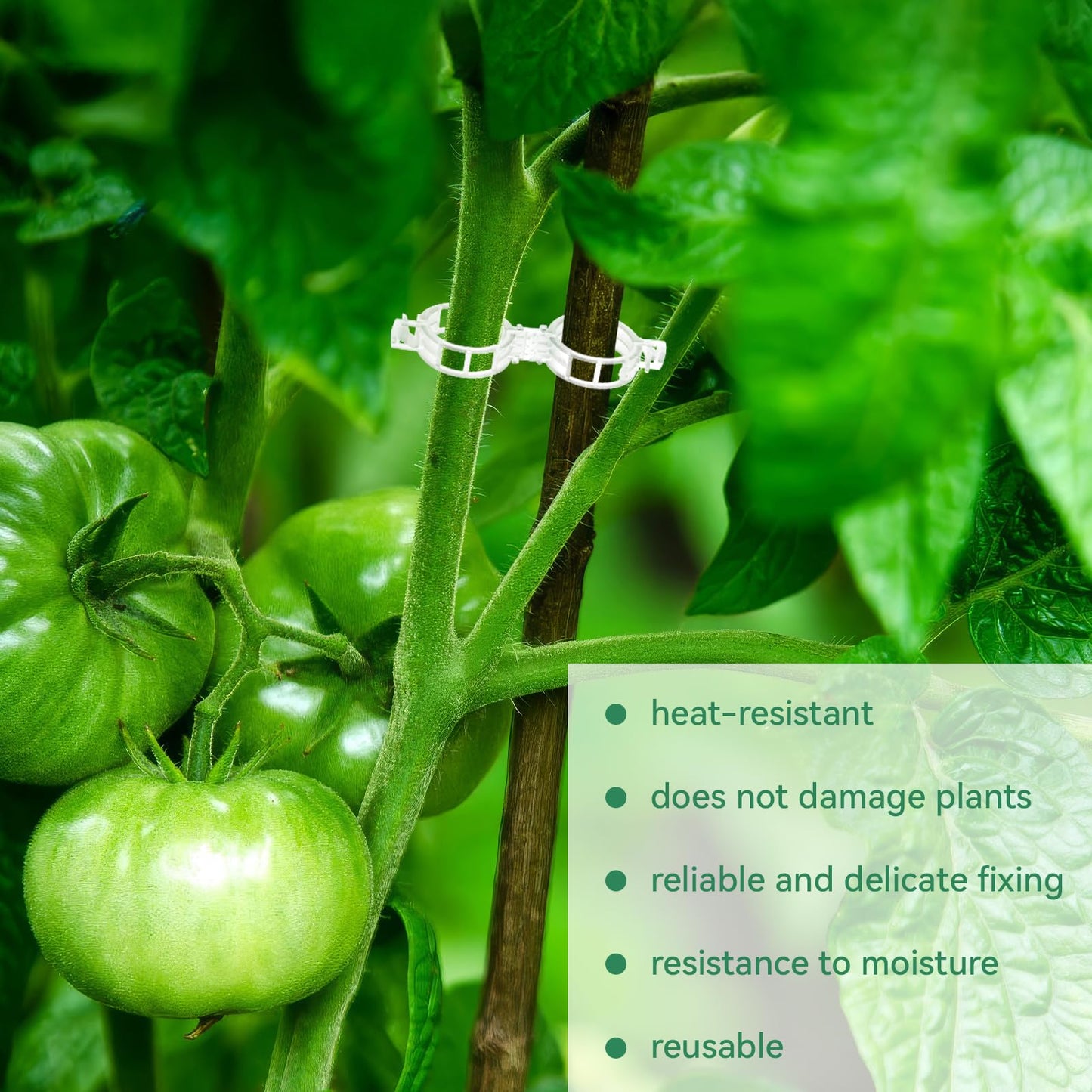 Premium Reusable Plant Support Clips