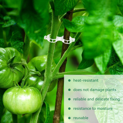 Premium Reusable Plant Support Clips