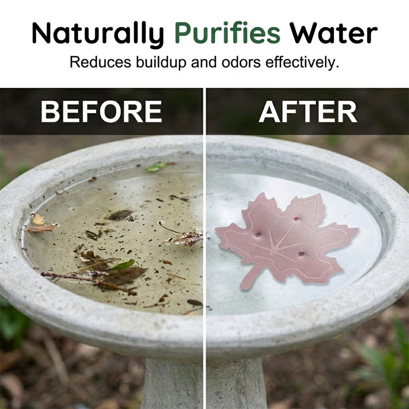 🍁Universal Fit Bird Bath Purifier