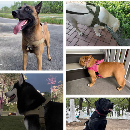 🏆LAST DAY SALE: ONLY ￡9.99!!🎁✨Heavy-Duty Tactical Dog Harness with Handle🐕