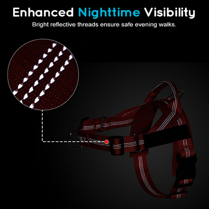 Easy On-Off Padded Dog Harness for Walking