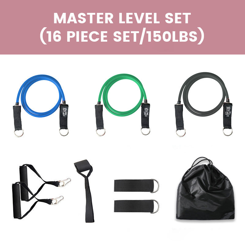 Build Your Dream Body Without a Gym  Adjustable Resistance Band Set for Full-Body Training Anywhere