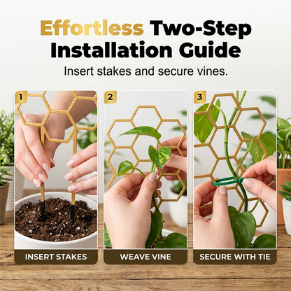 🌿 LIMITED-TIME 50% OFF! ✨ Honeycomb Plant Trellis – Rust-Proof, Stackable, Easy Install 🐝