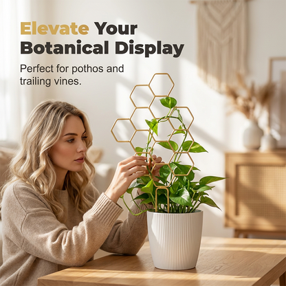 🌿 LIMITED-TIME 50% OFF! ✨ Honeycomb Plant Trellis – Rust-Proof, Stackable, Easy Install 🐝