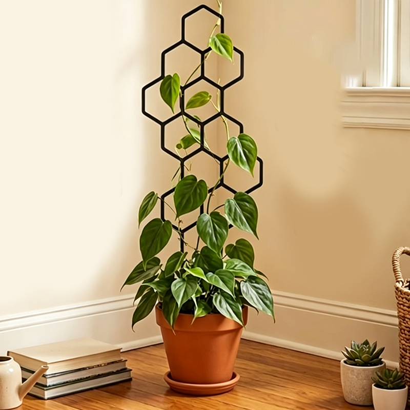 🌿 LIMITED-TIME 50% OFF! ✨ Honeycomb Plant Trellis – Rust-Proof, Stackable, Easy Install 🐝
