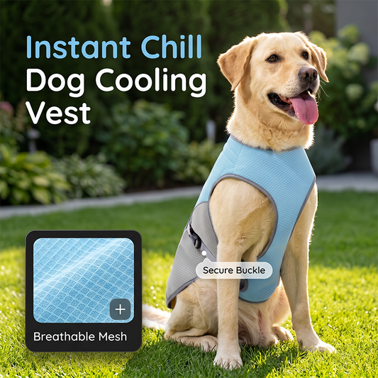 🐶 49% OFF NOW! ☀️ Dog Cooling Vest Harness – Ice-silk fabric & adjustable – Keeps your pet cool in summer – perfect for walks, beach or travel 🐾🌊✨