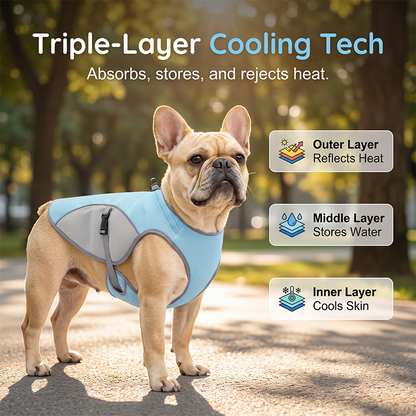 🐶 49% OFF NOW! ☀️ Dog Cooling Vest Harness – Ice-silk fabric & adjustable – Keeps your pet cool in summer – perfect for walks, beach or travel 🐾🌊✨