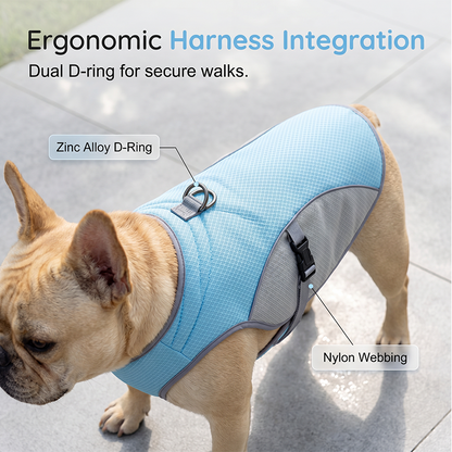 🐶 49% OFF NOW! ☀️ Dog Cooling Vest Harness – Ice-silk fabric & adjustable – Keeps your pet cool in summer – perfect for walks, beach or travel 🐾🌊✨