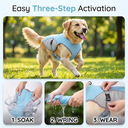 🐶 49% OFF NOW! ☀️ Dog Cooling Vest Harness – Ice-silk fabric & adjustable – Keeps your pet cool in summer – perfect for walks, beach or travel 🐾🌊✨