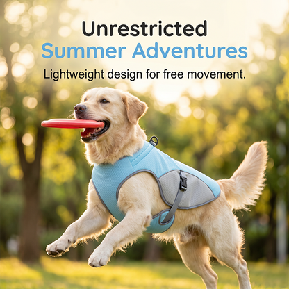 🐶 49% OFF NOW! ☀️ Dog Cooling Vest Harness – Ice-silk fabric & adjustable – Keeps your pet cool in summer – perfect for walks, beach or travel 🐾🌊✨