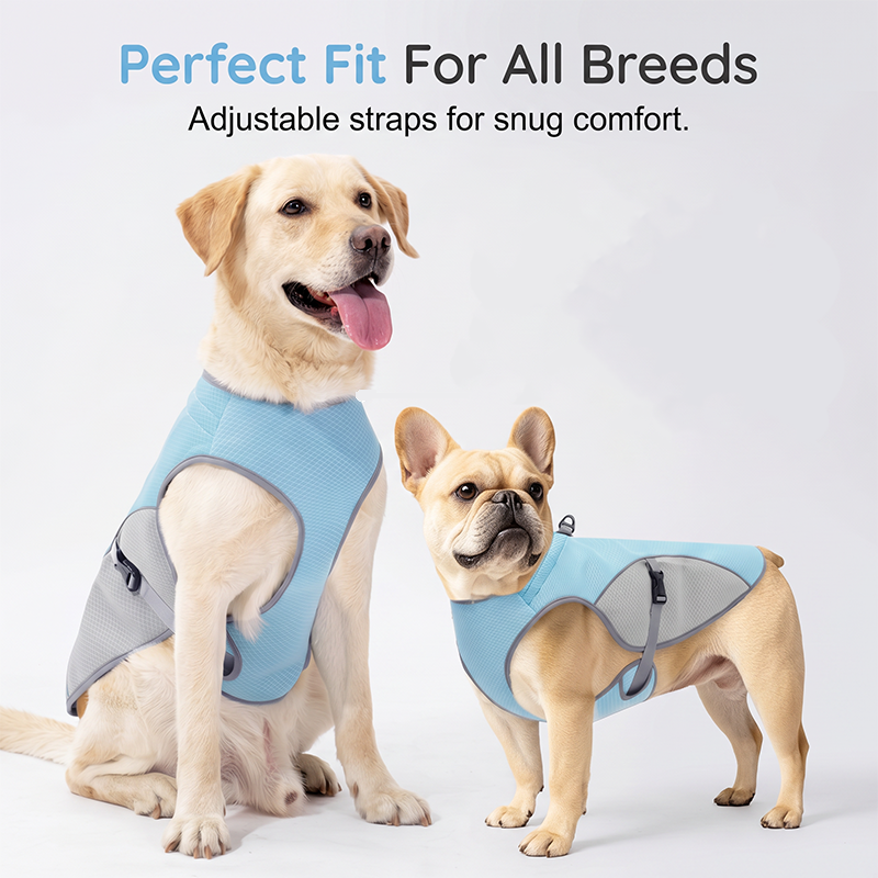 🐶 49% OFF NOW! ☀️ Dog Cooling Vest Harness – Ice-silk fabric & adjustable – Keeps your pet cool in summer – perfect for walks, beach or travel 🐾🌊✨