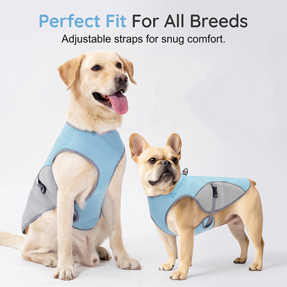 🐶 49% OFF NOW! ☀️ Dog Cooling Vest Harness – Ice-silk fabric & adjustable – Keeps your pet cool in summer – perfect for walks, beach or travel 🐾🌊✨