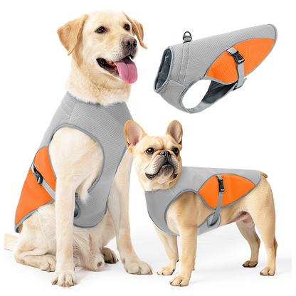 🐶 49% OFF NOW! ☀️ Dog Cooling Vest Harness – Ice-silk fabric & adjustable – Keeps your pet cool in summer – perfect for walks, beach or travel 🐾🌊✨